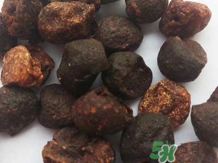 山黃皮的功效是什么？山黃皮的功效與作用