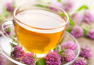 番石榴葉子能治糖尿病嗎？番石榴葉降血糖嗎？