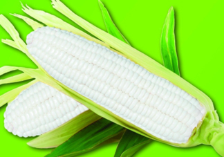 白玉米煮后變黃能吃嗎？白玉米為什么變黃了？