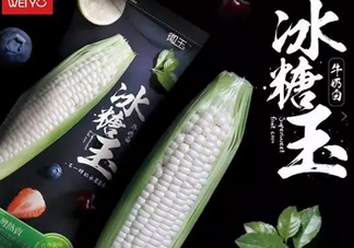 冰糖玉米?是轉(zhuǎn)基因嗎？冰糖玉米多少錢一斤？