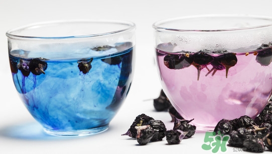黑枸杞可以和菊花一起喝嗎？菊花和黑枸杞一起喝好嗎