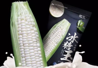 微玉冰糖玉米可以生吃嗎？微玉冰糖玉米安全嗎？
