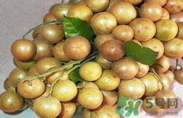 山黃皮的功效是什么？山黃皮的功效與作用