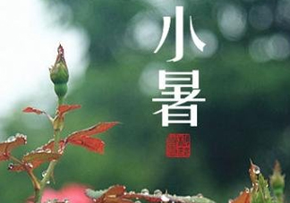 小暑種什么菜？小暑為什么要種牽?；ǎ?><p><strong>小暑種什么菜？小暑為什么要種牽牛花？</strong></p></a></li> <li><a href=