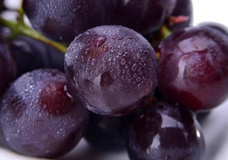 巨峰葡萄是哪里的？巨峰葡萄產(chǎn)地