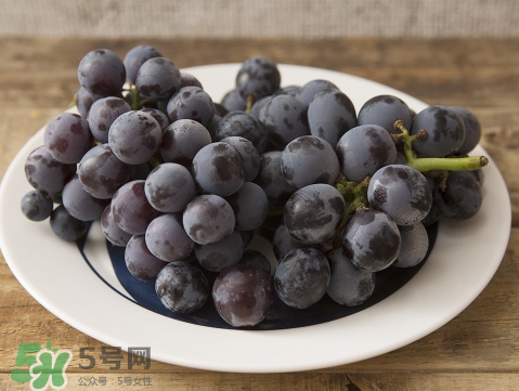 夏黑是葡萄還是提子_葡萄和提子的區(qū)別_提子和葡萄哪個(gè)好 夏黑是葡萄還是提子_葡萄和提子的區(qū)別_提子和葡萄哪個(gè)好