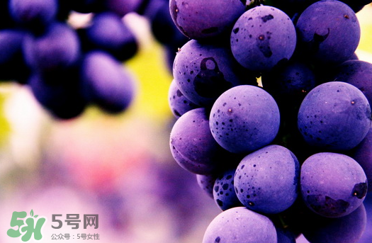 夏黑葡萄多少錢一斤？夏黑葡萄怎么挑選？