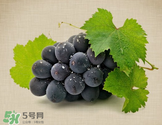 夏黑葡萄多少錢一斤？夏黑葡萄怎么挑選？