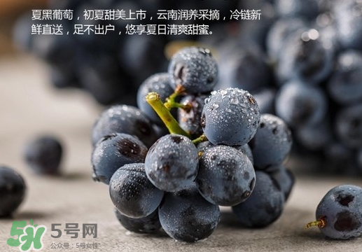 夏黑葡萄皮能吃嗎？夏黑葡萄怎么吃？