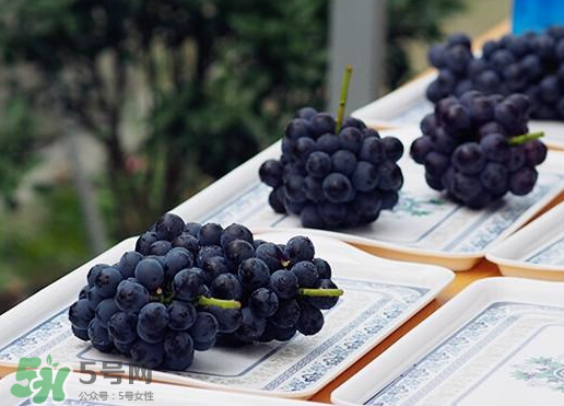 夏黑葡萄皮能吃嗎？夏黑葡萄怎么吃？