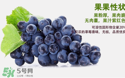 夏黑葡萄怎么洗？夏黑葡萄怎么洗才干凈？