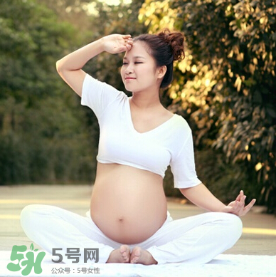 孕婦可以吃竹葉菜嗎？竹葉菜孕婦可以吃嗎？