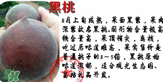 黑桃水果是什么品種？黑桃是酸性還是堿性