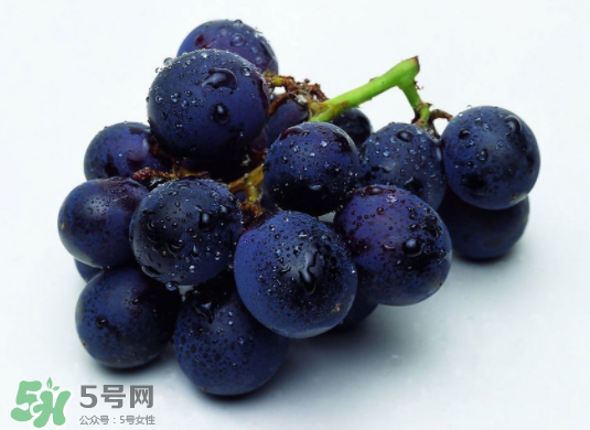 巨峰葡萄和葡萄有什么區(qū)別？巨峰葡萄是轉(zhuǎn)基因的嗎？