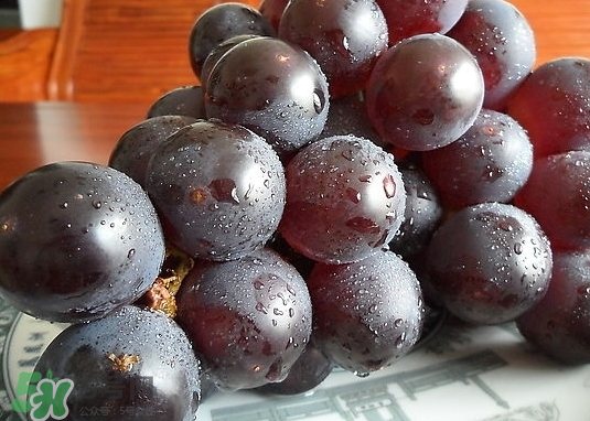 巨峰葡萄和葡萄有什么區(qū)別？巨峰葡萄是轉(zhuǎn)基因的嗎？