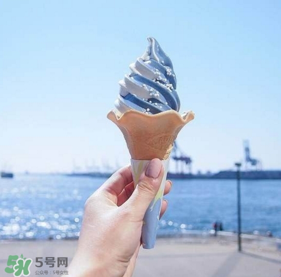 鯨鯊冰淇淋好吃嗎？鯨鯊冰淇淋多少錢？