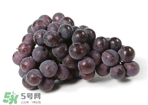 巨峰和夏黑哪個(gè)好吃？哪個(gè)貴？有什么區(qū)別？