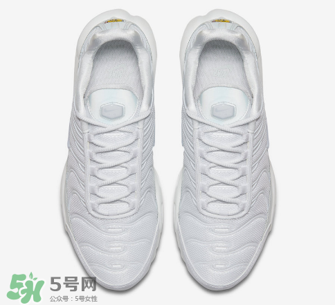 nike air max plus ice blue多少錢？耐克氣墊plus冰藍(lán)配色價(jià)格
