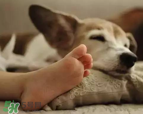 七月份可以開窗睡覺嗎？夏天可以開窗睡覺嗎？