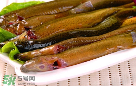 鰻魚是泥鰍嗎？鰻魚與泥鰍什么區(qū)別
