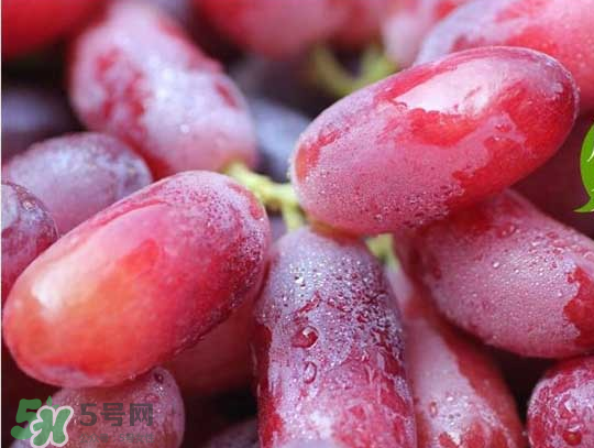 ?無籽紅提?孕婦能吃嗎吃嗎？孕婦能不能吃無籽紅提？