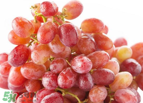 ?無籽紅提?孕婦能吃嗎吃嗎？孕婦能不能吃無籽紅提？