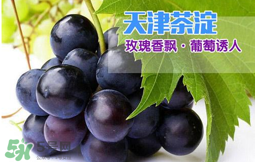 玫瑰香葡萄多少錢一斤？玫瑰香葡萄多少錢一斤2017？