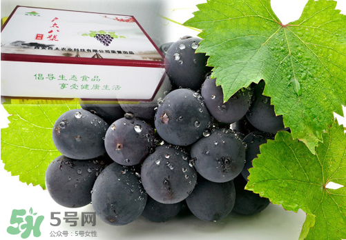 戶太八號葡萄什么時候套袋？戶太八號葡萄什么月份套袋？