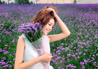 七月份還有薰衣草嗎？7月份還有薰衣草嗎？