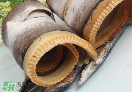 鰻魚(yú)干怎么保存最好？鰻魚(yú)干如何保存時(shí)間久