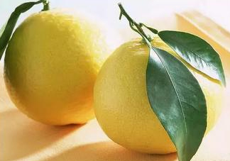 七月份有柚子嗎？柚子七月份超市有賣的嗎？