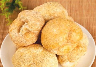 猴頭菇怎樣吃治胃病？猴頭菇能治胃病嗎？