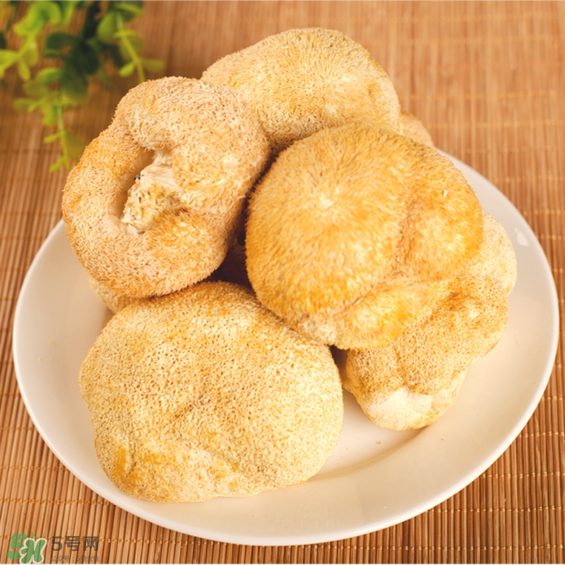 猴頭菇怎樣吃治胃??？猴頭菇能治胃病嗎？