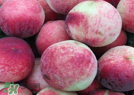 血桃和紫血桃哪個(gè)好？血桃和紫血桃的區(qū)別