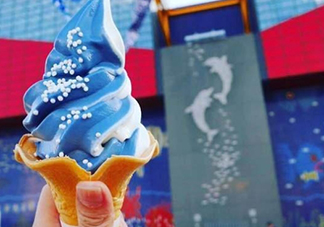 鯨鯊冰淇淋好吃嗎？鯨鯊冰淇淋多少錢？