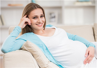 篙苞孕婦能吃嗎？孕婦能不能吃篙苞？