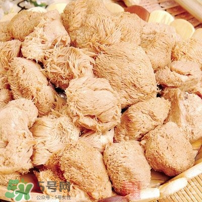 猴頭菇怎樣吃治胃??？猴頭菇能治胃病嗎？