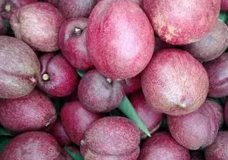 黑桃是什么水果？吃黑桃有什么好處？