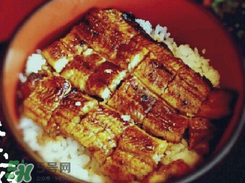鰻魚飯日語怎么說？鰻魚飯是怎么做的