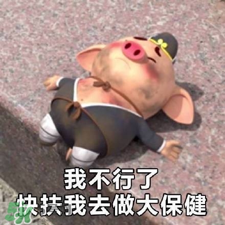 豬小屁表情包是什么？豬小屁表情包為什么這么火？