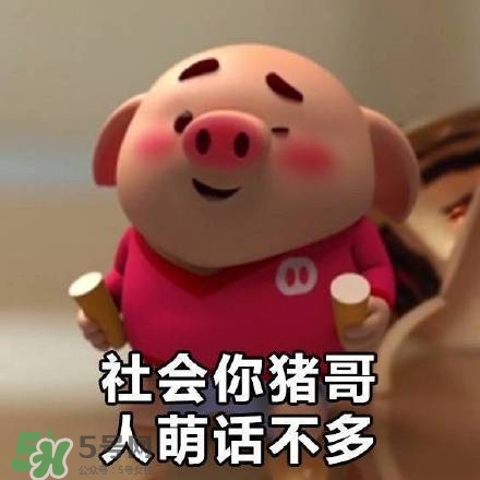 豬小屁表情包是什么？豬小屁表情包為什么這么火？