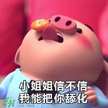 豬小屁表情包是什么？豬小屁表情包為什么這么火？