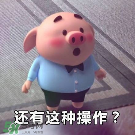 豬小屁表情包是什么？豬小屁表情包為什么這么火？