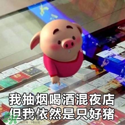 豬小屁表情包是什么？豬小屁表情包為什么這么火？