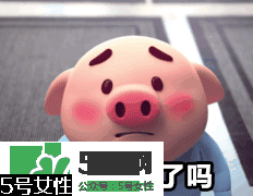 豬小屁多少錢一個(gè)？豬小屁哪里可以買到