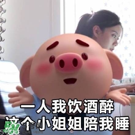 豬小屁多少錢一個(gè)？豬小屁哪里可以買到