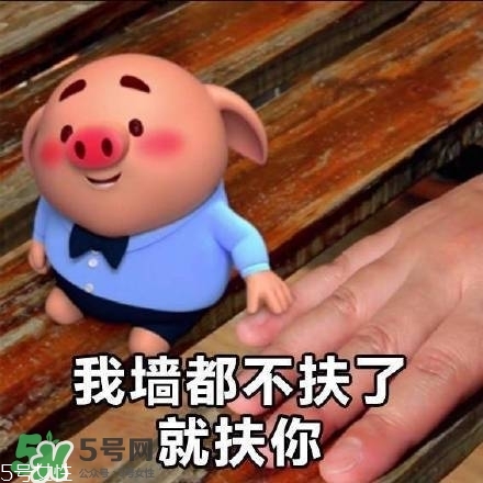 豬小屁多少錢一個(gè)？豬小屁哪里可以買到