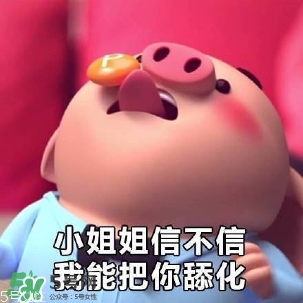 豬小屁多少錢一個(gè)？豬小屁哪里可以買到