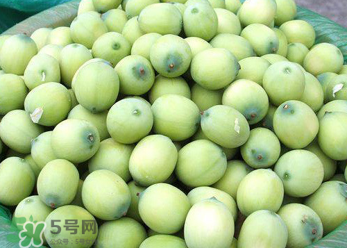 蓮蓬可以泡水喝嗎？蓮蓬泡水的功效與作用