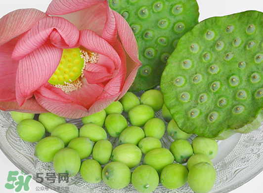 蓮蓬是水果嗎？蓮蓬是水果還是蔬菜？